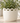 Dixon Ceramic Pot White Large