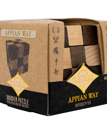 Appian Way Wooden Brain Teaser