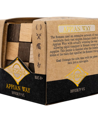 Appian Way Wooden Brain Teaser