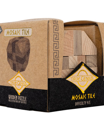 Mosaic Tile Wooden Brain Teaser